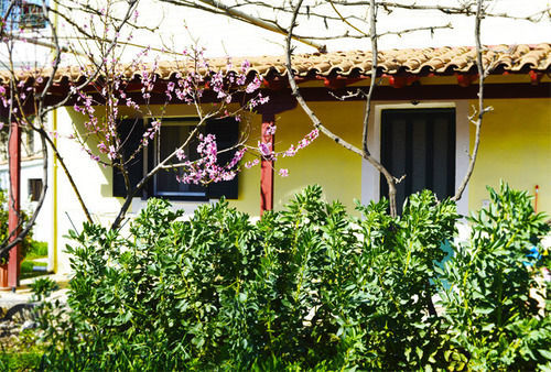 Apartment Dionysia *
